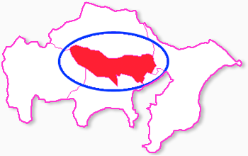 対応エリア 東京都